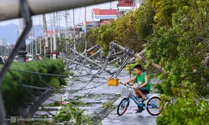 Hải Phòng, Quảng Ninh nhường 200 tỷ đồng cho địa phương khác khắc phục hậu quả bão Yagi