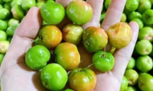 Quả nào giàu vitamin C?