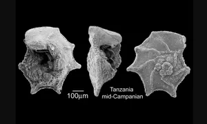Nhiệt độ Trái Đất thay đổi ra sao trong 500 triệu năm qua