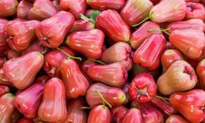 Quả mận miền Nam là quả gì miền Bắc?